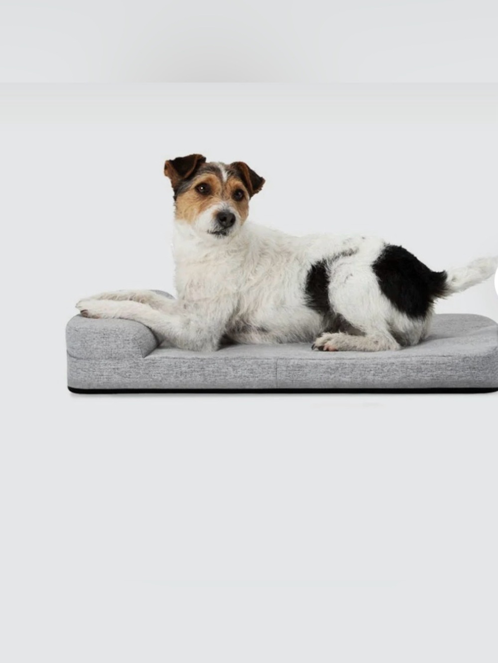 Diggs - Bolstr Crate Pad size SM